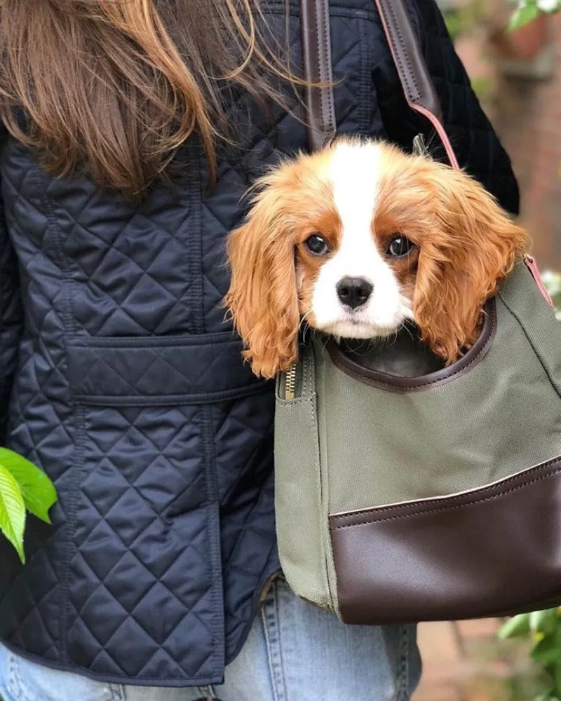 Dog Carrier Bag - Waxed Canvas & Leather Pet Travel Tote - Olive Green