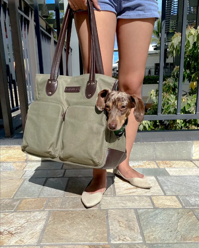 Dog Carrier Bag - Waxed Canvas & Leather Pet Travel Tote - Olive Green