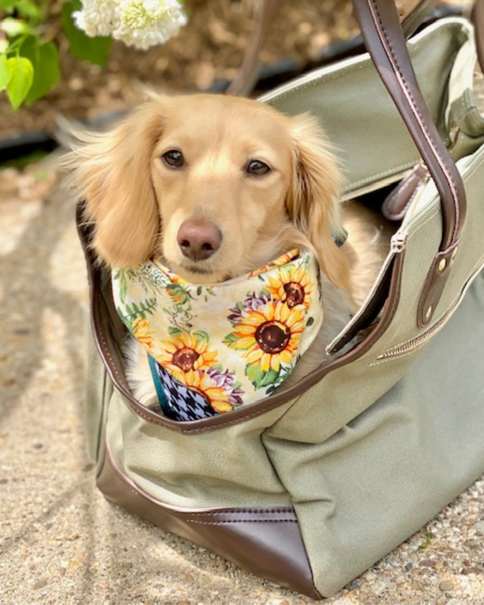 Dog Carrier Bag - Waxed Canvas & Leather Pet Travel Tote - Olive Green