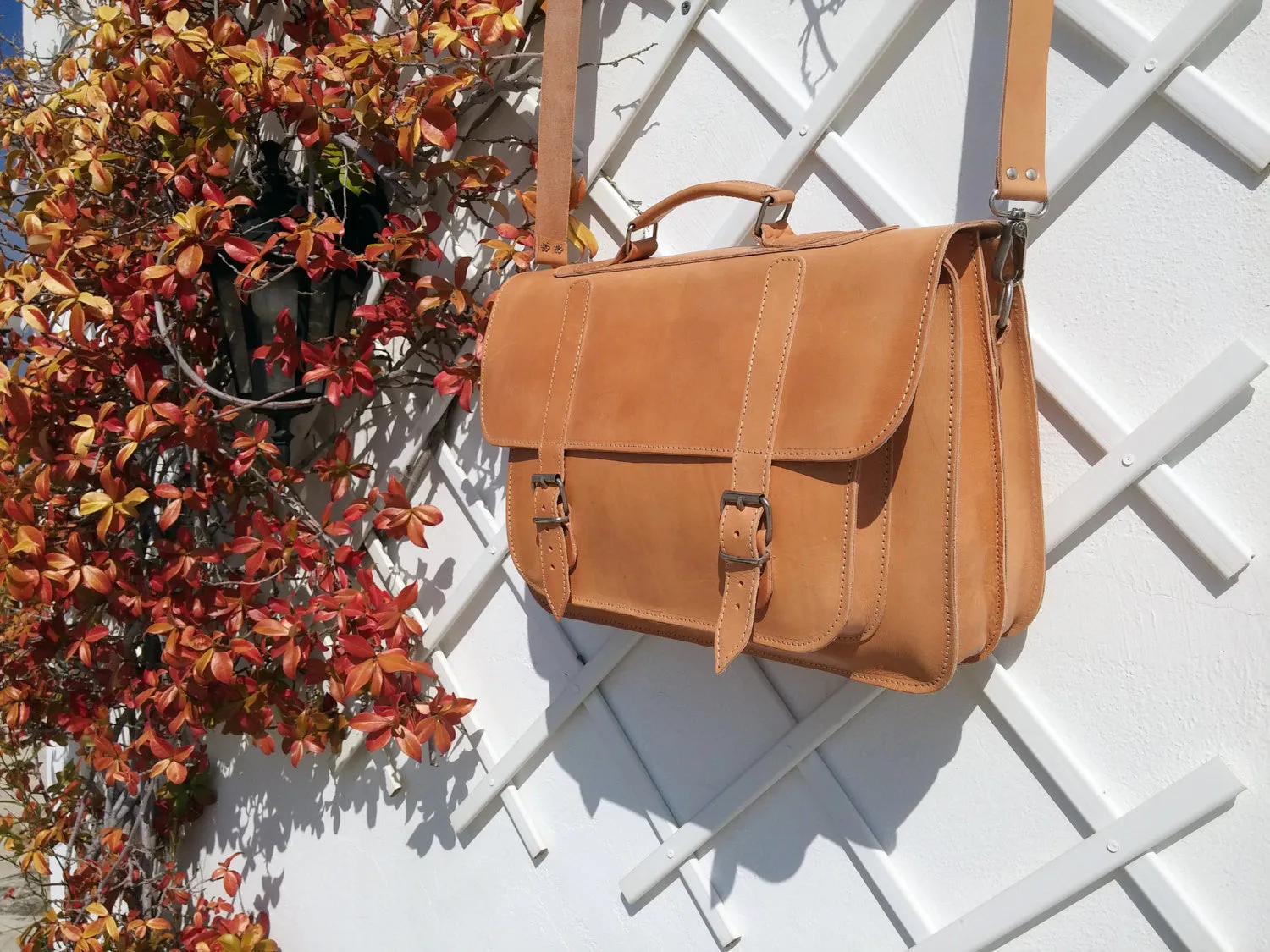 Evander 15" - 6 colors